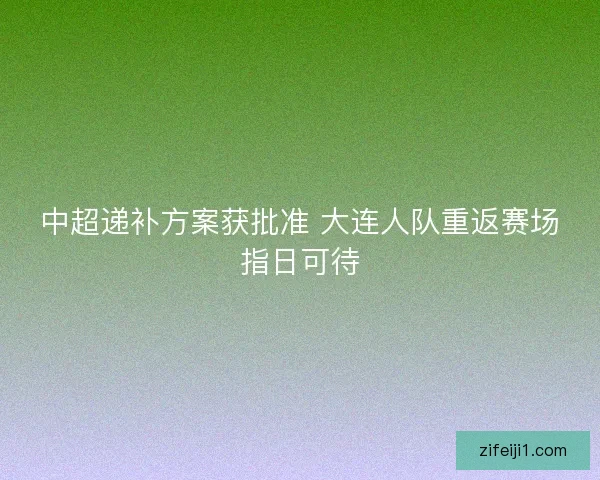 中超递补方案获批准 大连人队重返赛场指日可待