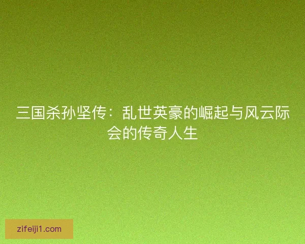 三国杀孙坚传：乱世英豪的崛起与风云际会的传奇人生
